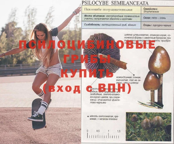 spice Армянск