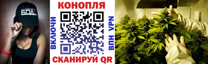 Каннабис тримм Колпашево